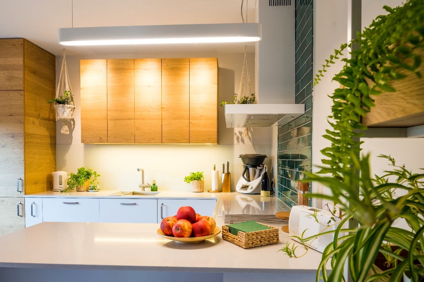 Image of kuchnia z akcentem zieleni 1 in 8 keys to designing and organizing your kitchen to avoid food infections - Cosentino