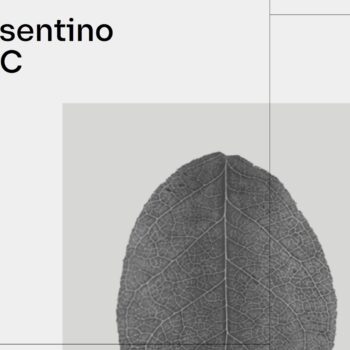 Image of portada rsc 2020 2 in Black and white kitchens - Cosentino